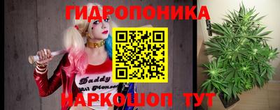 гидропоника Гусь-Хрустальный
