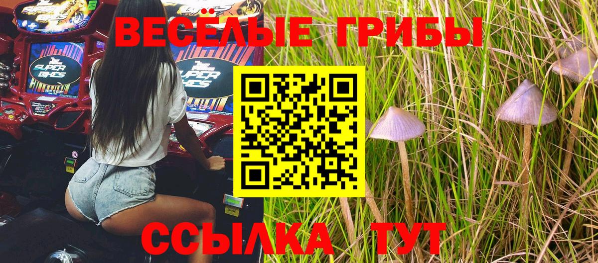 Галлюциногенные грибы мухоморы  Вход с VPN  Кимовск 