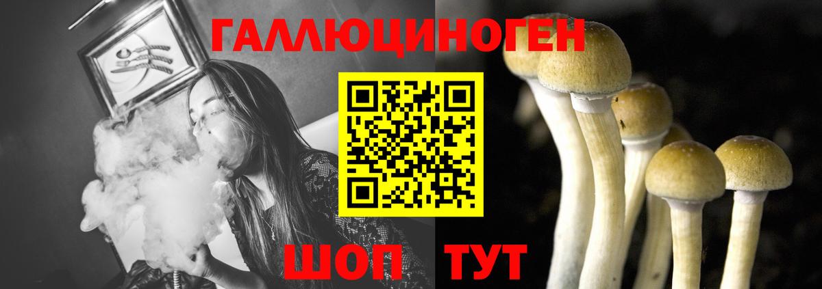 Псилоцибиновые грибы мухоморы Кимовск